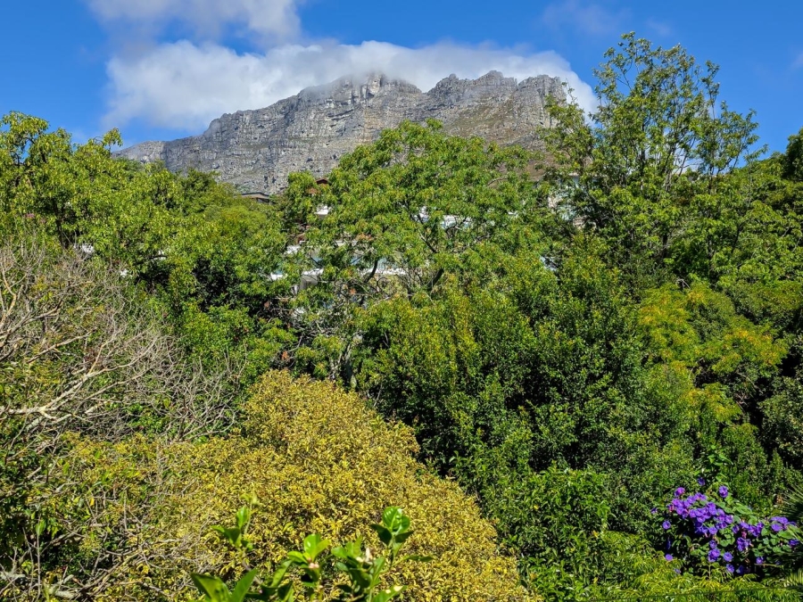 To Let 4 Bedroom Property for Rent in Higgovale Western Cape
